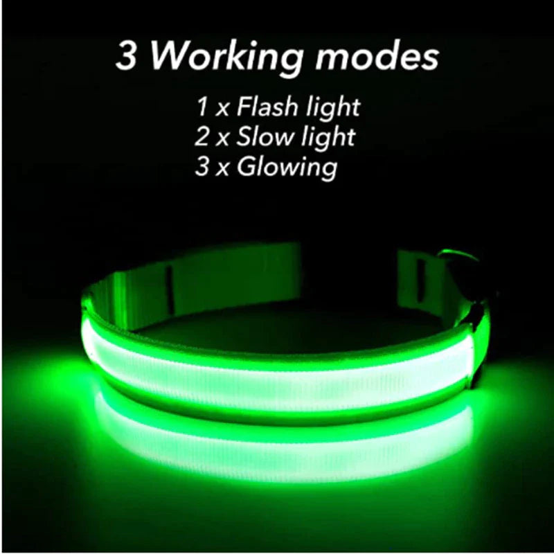Waterproof LED Adjustable Dog Collar with Blinking & Flashing Lights - Glow Pet Safety Collar for Night Walks, Jogging & Outdoor Adventures