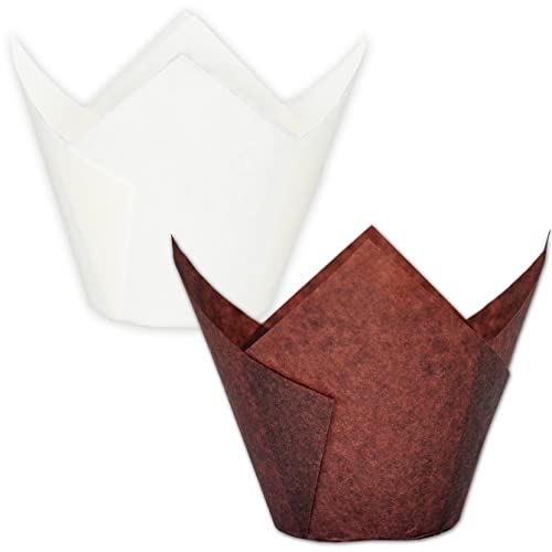 Jumbo Brown&White