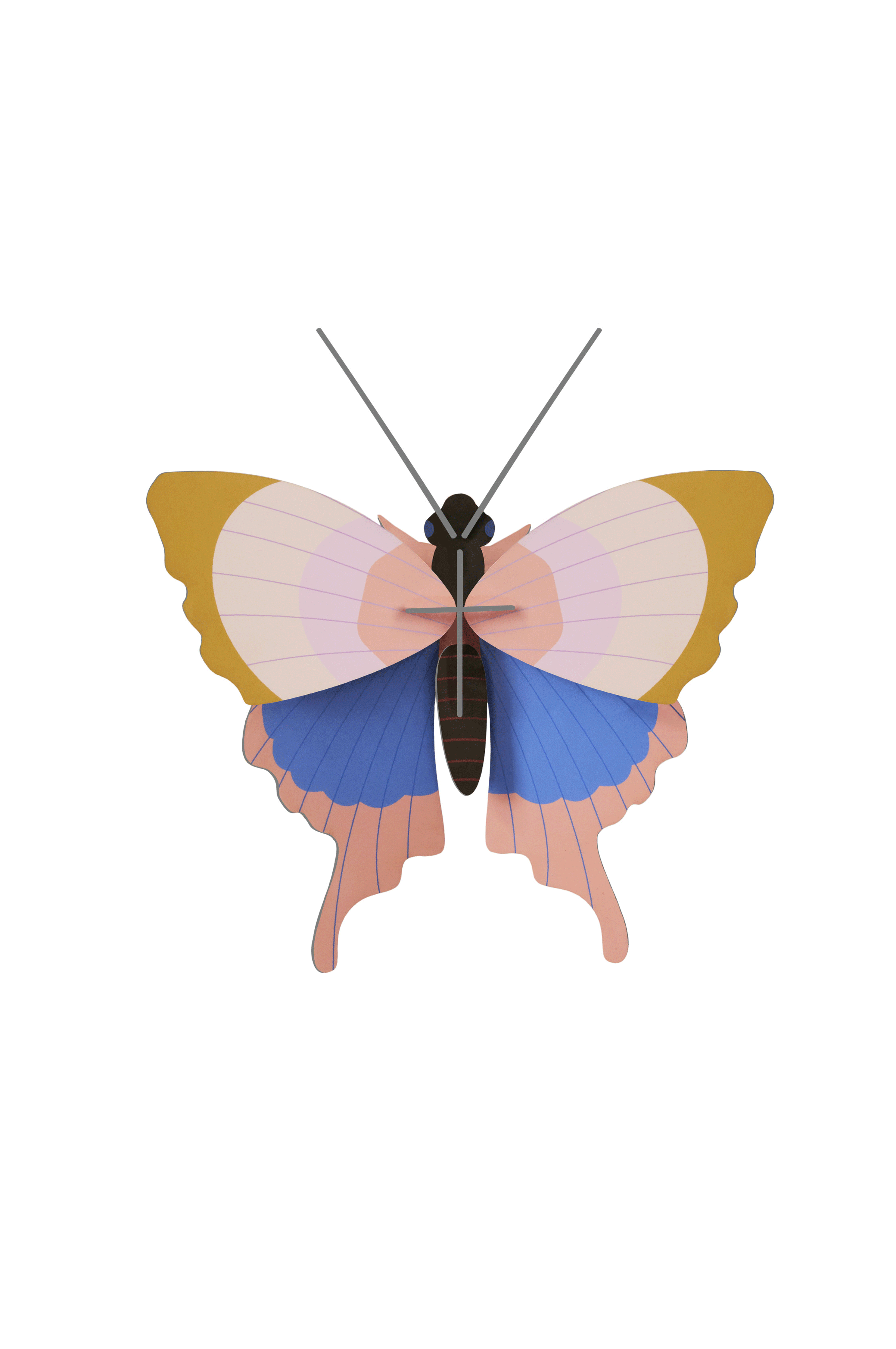 Gold Rim Butterfly Small Insect Specimen - Handcrafted by Studio ROOF - Perfect for Home Decor, Shadow Box Display & Entomology Collections