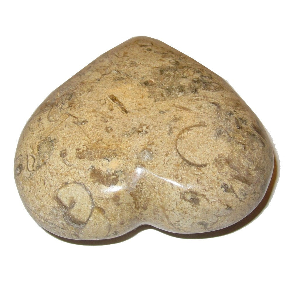 Fossil Heart Eternal Soulmate Love Crystal Healing Stone - Brown Gemstone for Chakra Balancing, Meditation & Spiritual Healing - Perfect for Gifts, Home Decor & Energy Work