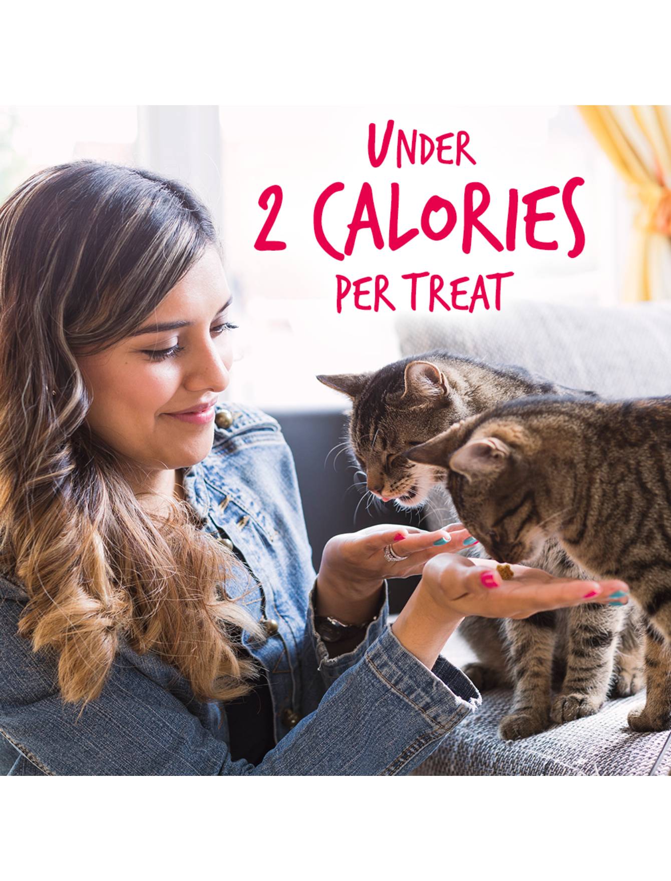 Fruitables Crunchy Salmon with Cranberry Cat Treats 2.5oz - Healthy Natural Cat Snacks for Indoor & Outdoor Cats - Perfect for Training, Rewards, and Bonding Time