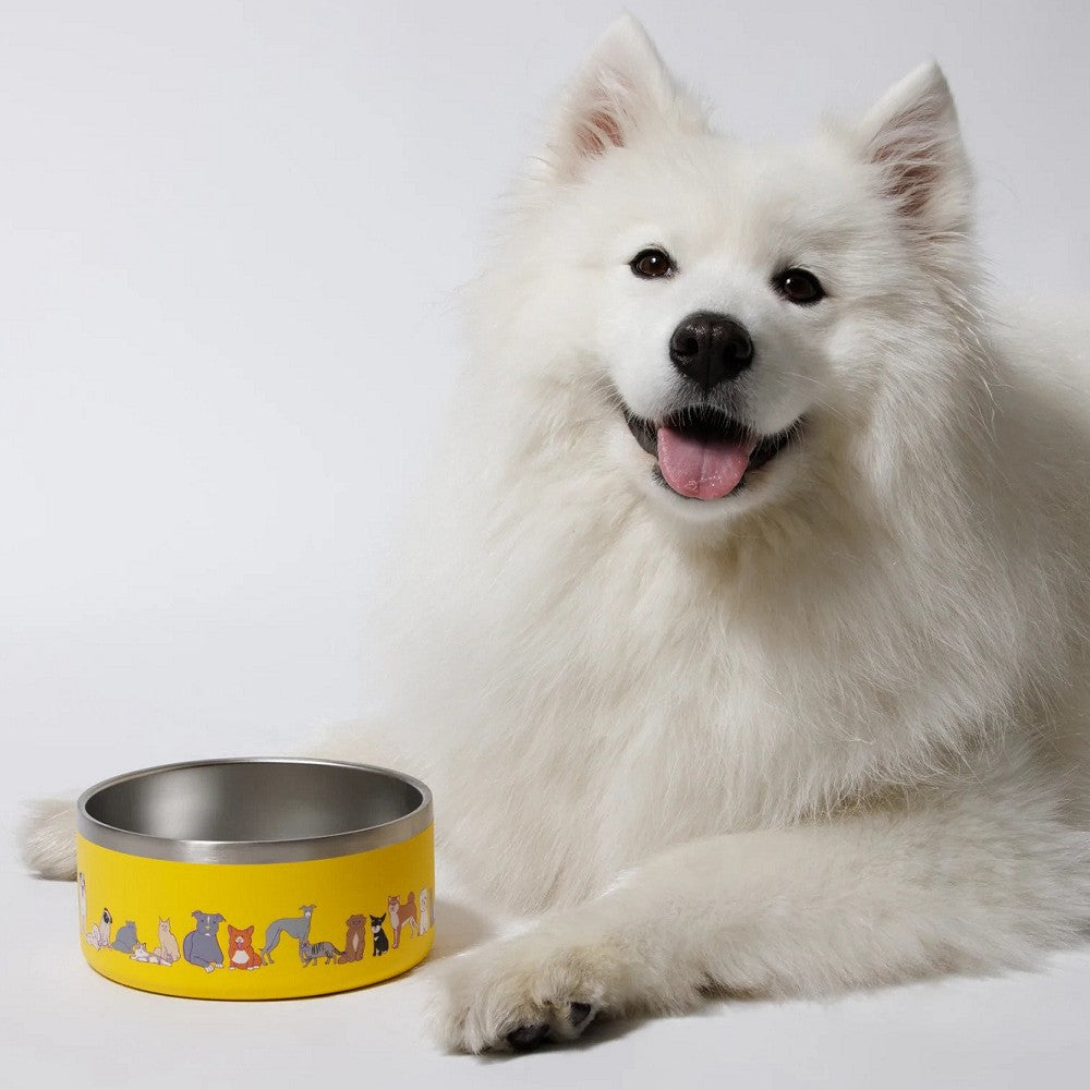 Premium Stainless Steel Dog Bowl - Non-Slip, Chew-Proof Pet Food & Water Dish for Large & Small Dogs - Perfect for Indoor, Outdoor & Travel Use