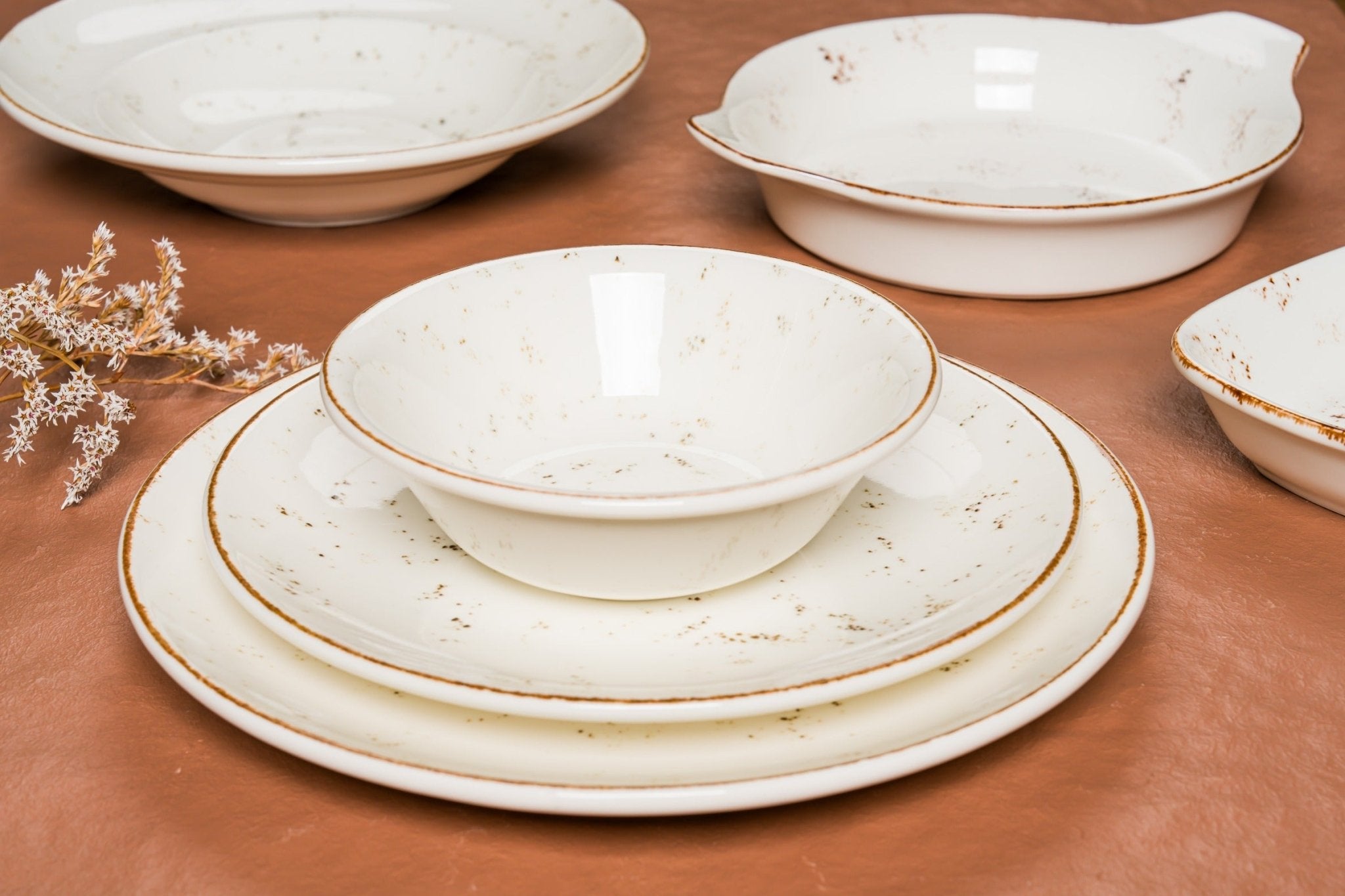 Premium 25cm Grain Dinner Plate Set - Eco-Friendly, Durable & Stylish for Everyday Meals, Parties & Special Occasions