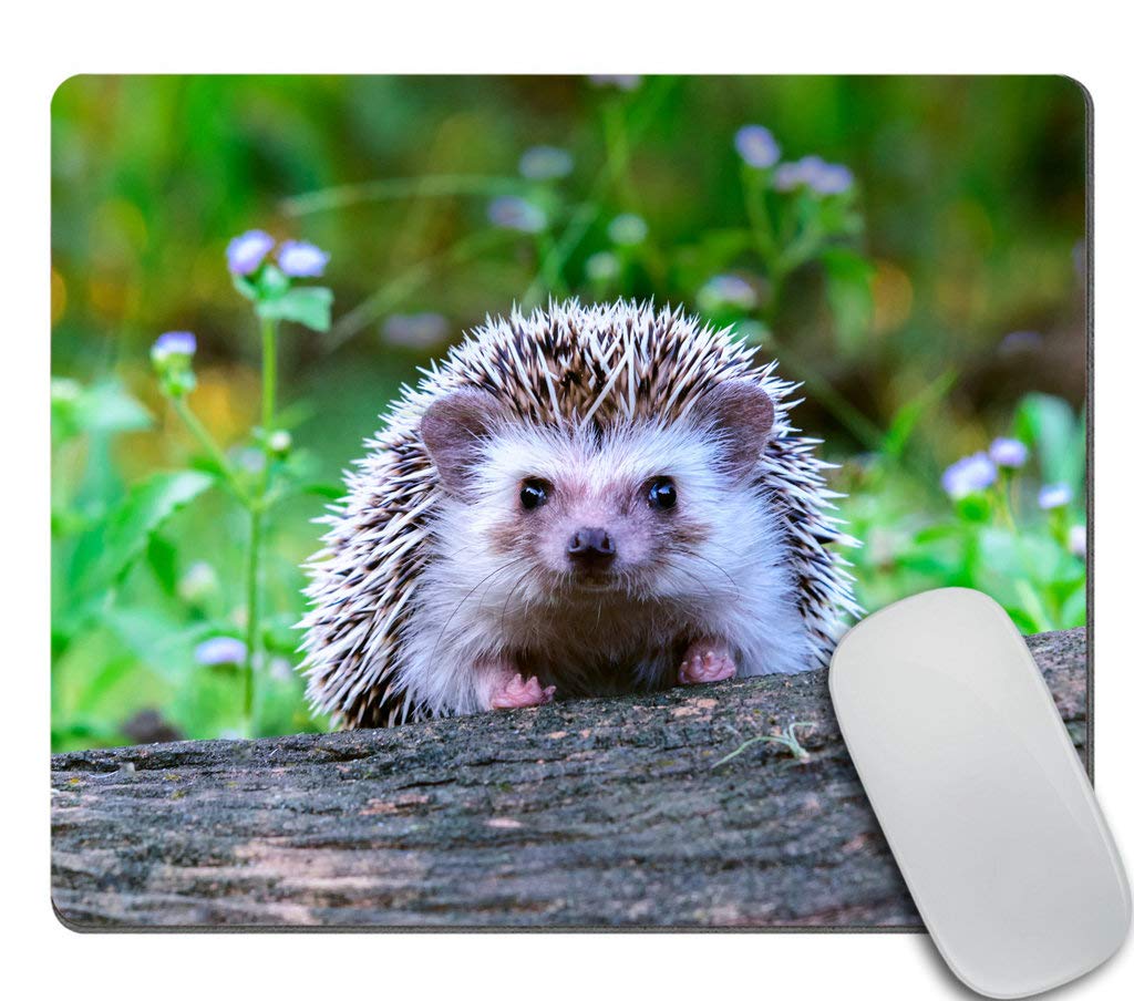 Custom Cute Animal Gaming Mouse Pad - Dwarf Hedgehog on Stump Design | Large Non-Slip Rubber Base | Perfect for PC, Laptop, Office & Gaming Setup