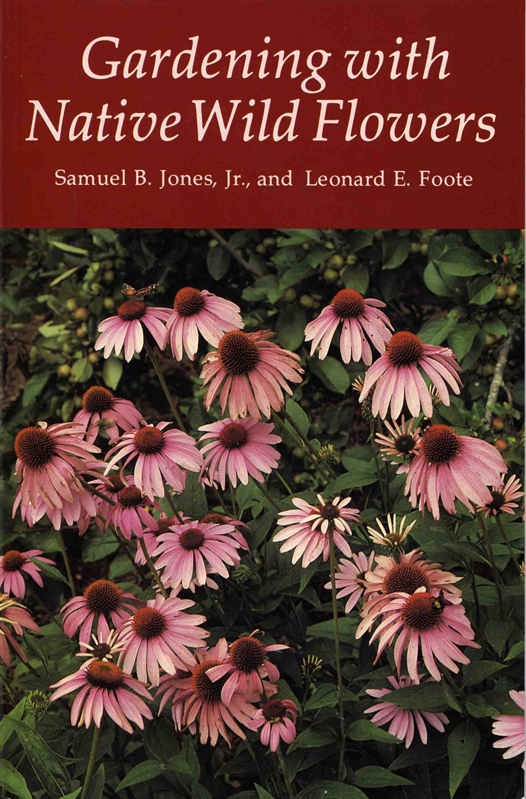 Native Wild Flowers for Gardening - Best Perennial Plants for Pollinators & Landscaping | Perfect for Home Gardens, Meadows & Eco-Friendly Yards