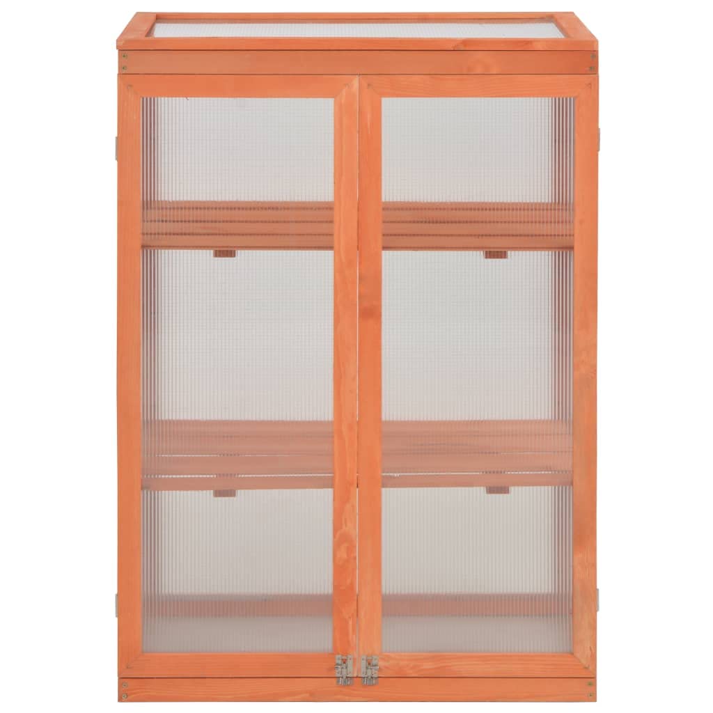 **Outdoor Wooden Greenhouse for Plants - 2 Shelves & 2 Patio Doors - 29.5