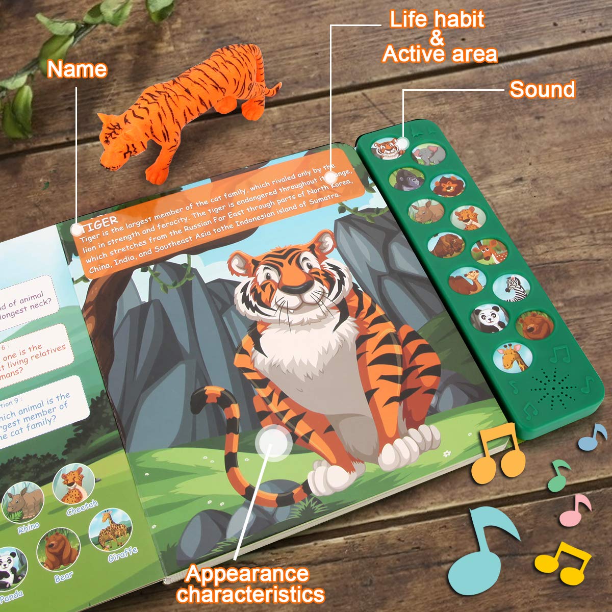 Safari Animal Figures Toys Set - 13 Realistic Wild Plastic Animal Figurines with Kids Sound Book - Educational Learning Toys Gift for Boys Girls Ages 3+ - Perfect for Jungle Themed Parties, Preschool Learning & Imaginative Play