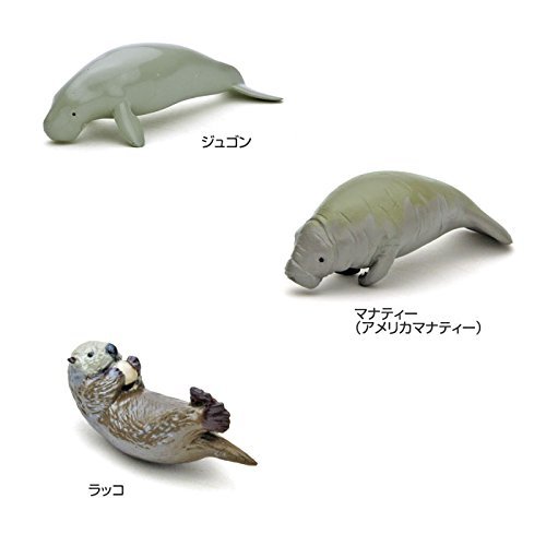 Authentic Marine Mammal Figurine Set - Lifelike Dolphin, Whale & Seal Collectibles for Kids & Adults | Perfect for Educational Play, Ocean-Themed Decor & Gift Giving