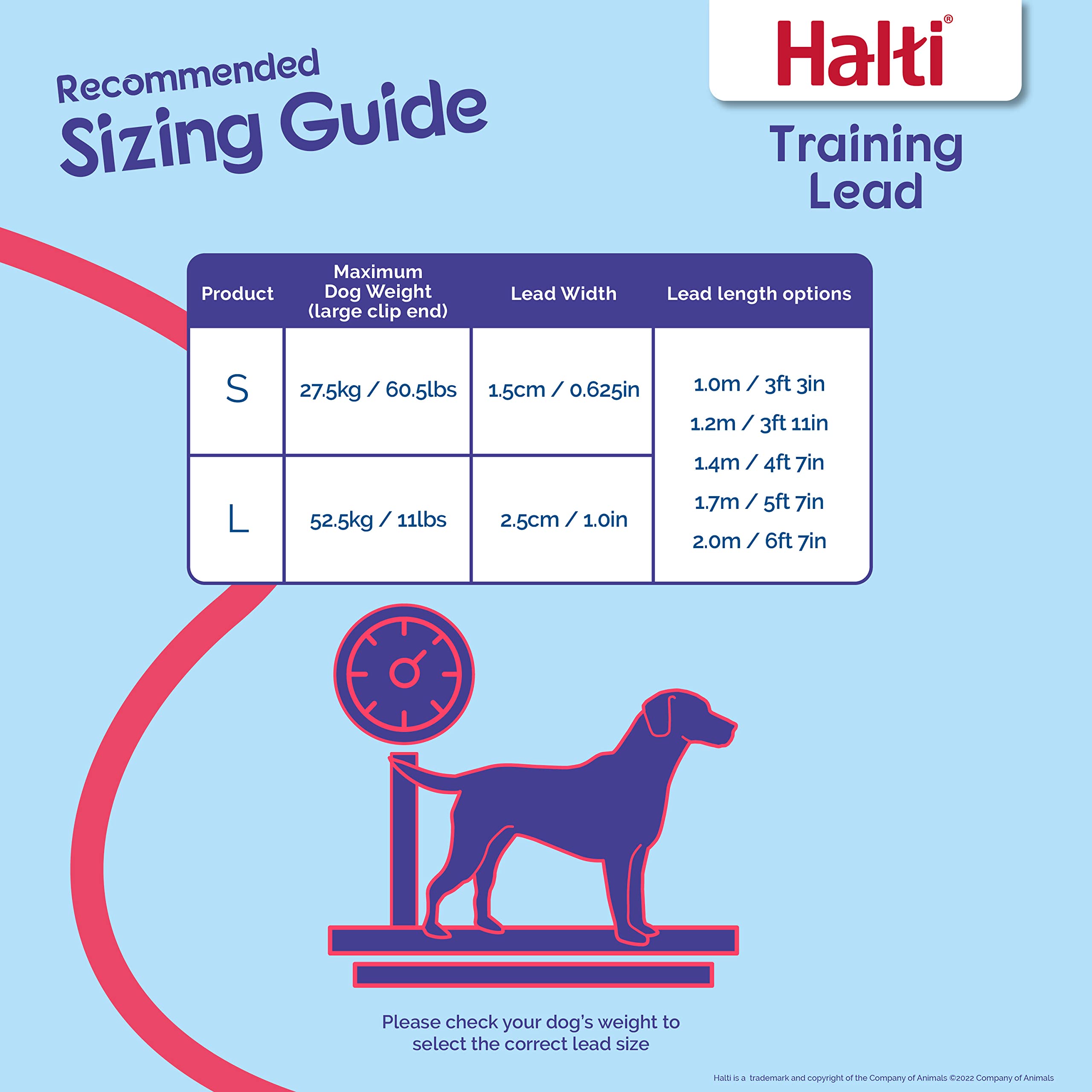 HALTI Headcollar Size 5 & Training Leash Large Combo Pack for Dogs - Adjustable No-Pull Dog Collar with Padded Noseband | Lightweight Pet Training Gear for Large Breeds | Perfect for Walking, Jogging and Obedience Training