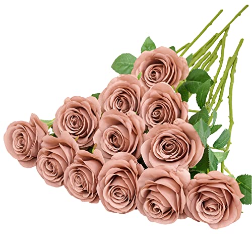 Dust Rose