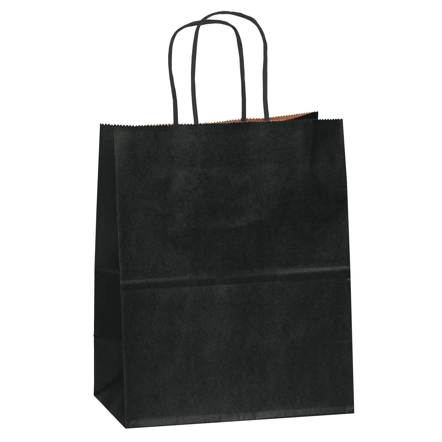 Premium Kraft Paper Gift Bags with Light Blue Tissue Wrap - 8