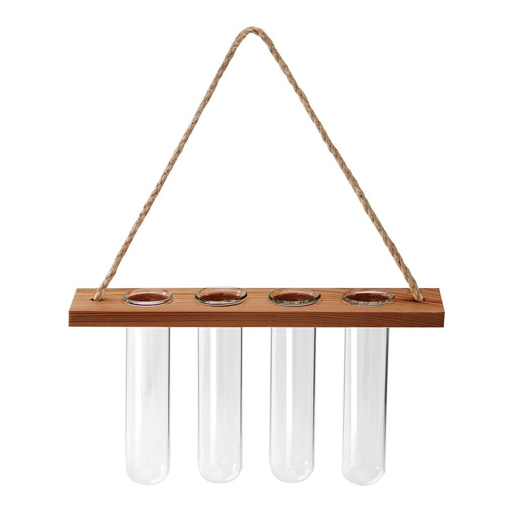 Creative Wall Hanging Hydroponic Glass Vase - Nordic Style Home Decor for Plants, Bonsai & Flowers | Indoor Wall Decor, Living Room & Office Decoration | Modern Plant Holder (Color B)
