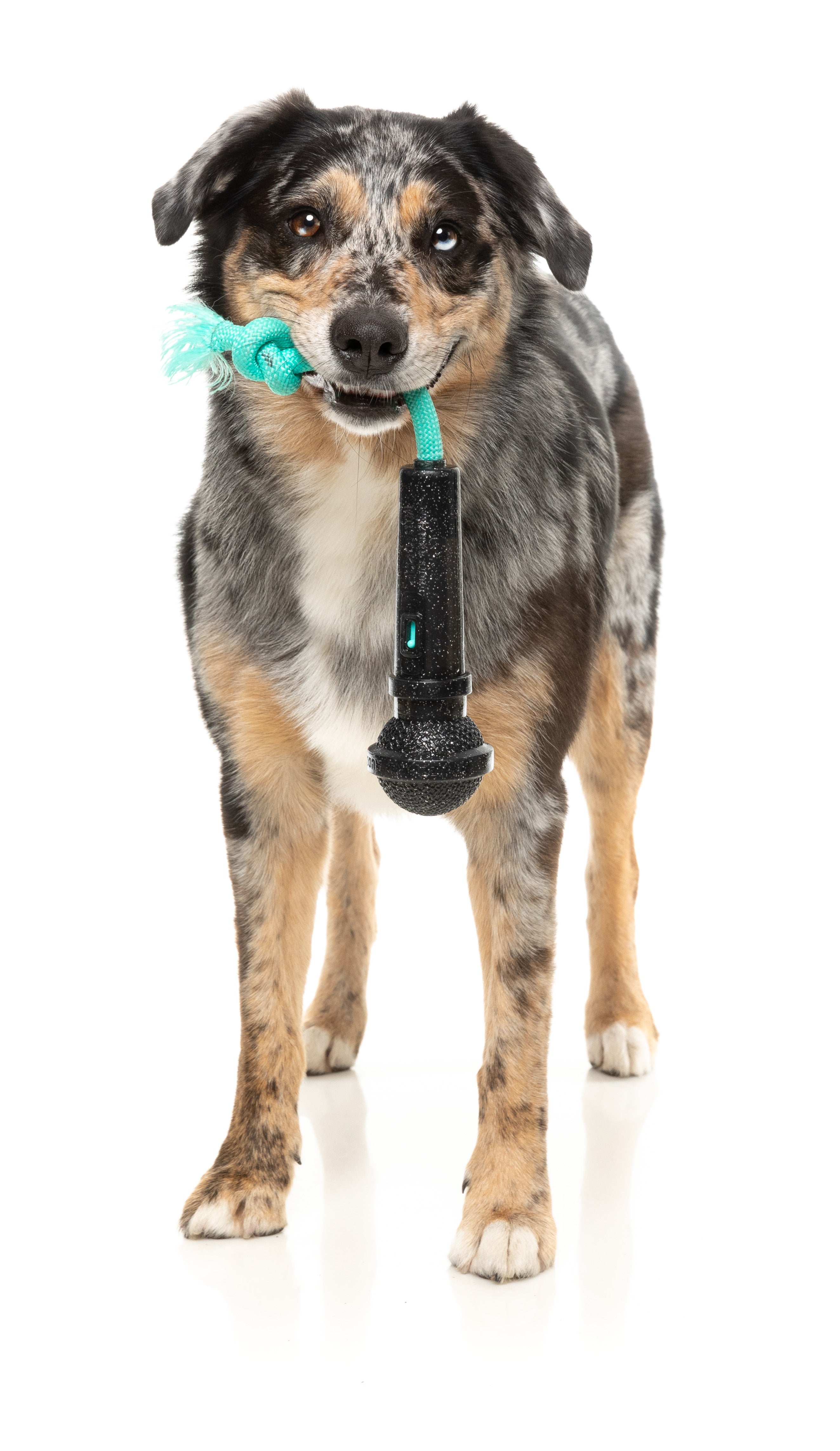 Fuzzyard Interactive Treat Dispensing Dog Chew Toy - Durable Pet Puzzle Feeder for Small & Large Dogs - Fun Mental Stimulation & Teeth Cleaning - Perfect for Indoor Play, Training Rewards, and Boredom Relief