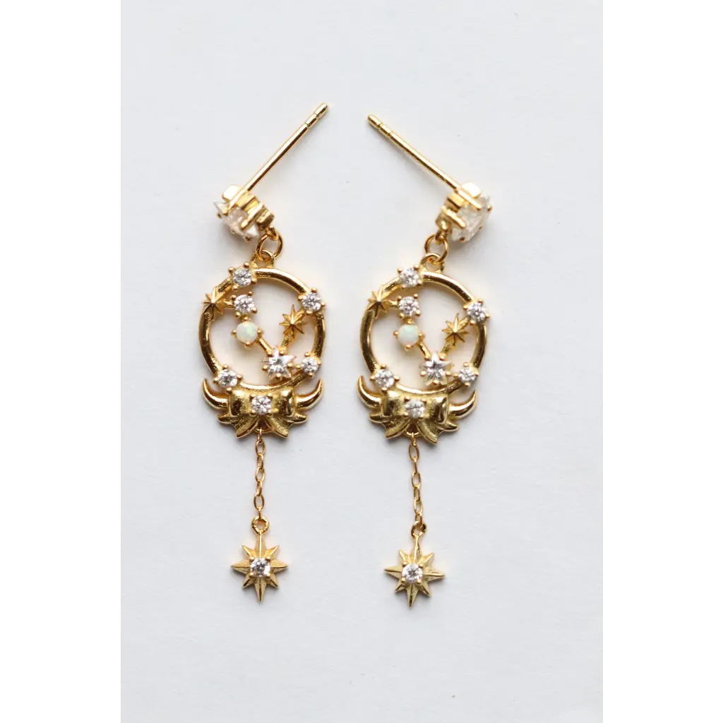 Zodiac Sign Earrings for Women - Unique Astrology Jewelry Gifts for Birthday, Christmas & Daily Wear