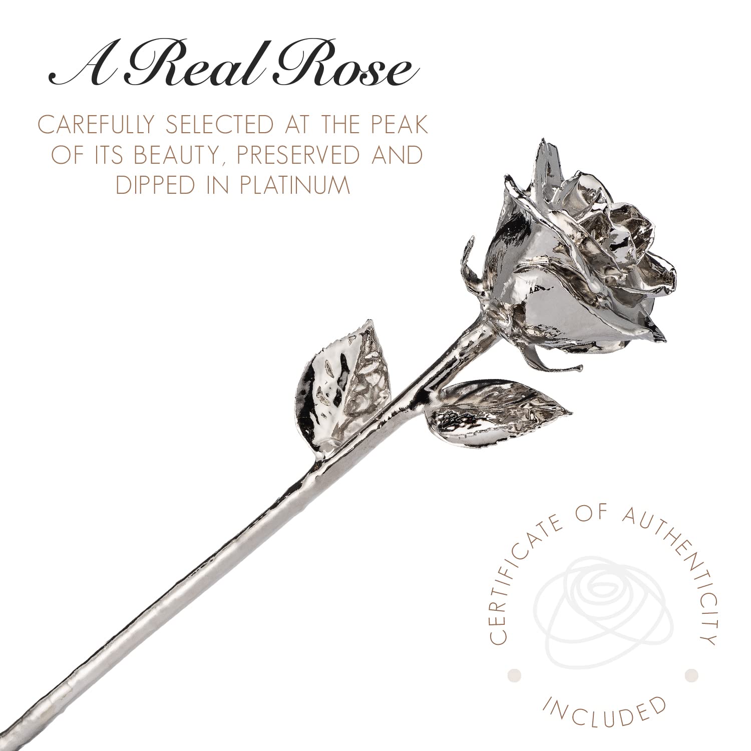 Platinum Dipped Forever Rose in Clear Glass Bud Vase - Genuine Handcrafted Eternal Flower | Unique Romantic Gift for Anniversary, Valentine's Day & Wedding | Perfect for Home Decor, Table Centerpiece & Luxury Gift Giving