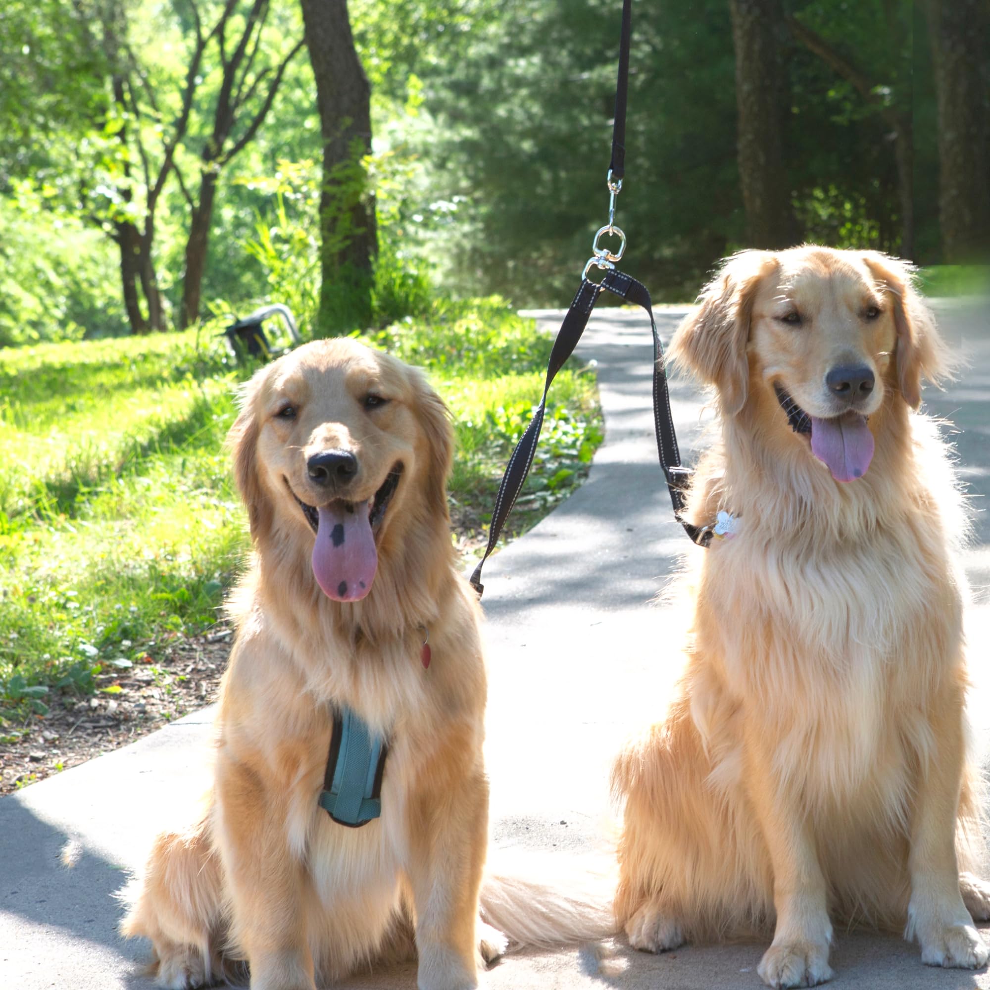 **Caldwell's Pet Supply Co. Adjustable Tangle-Free Dog Leash Coupler – Dual Dog Leash Splitter for Walking 2 Small to Medium Dogs – Perfect for Parks, Hiking & Daily Walks**