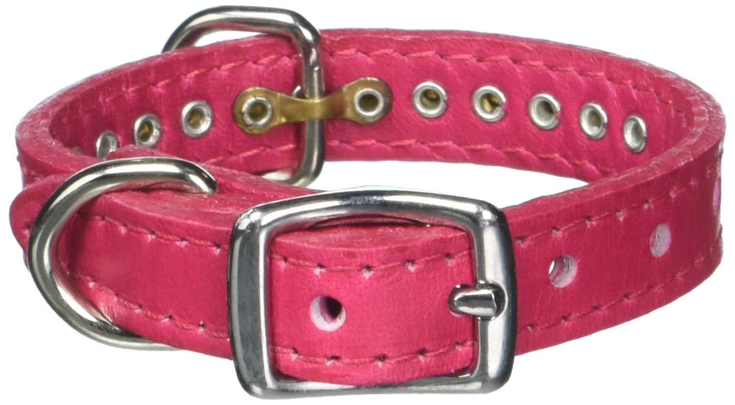 OmniPet Signature Leather Crystal Dog Collar - 10 Inch Raspberry Pink Luxury Pet Collar for Small Dogs - Perfect for Daily Walks, Special Occasions & Photo Shoots