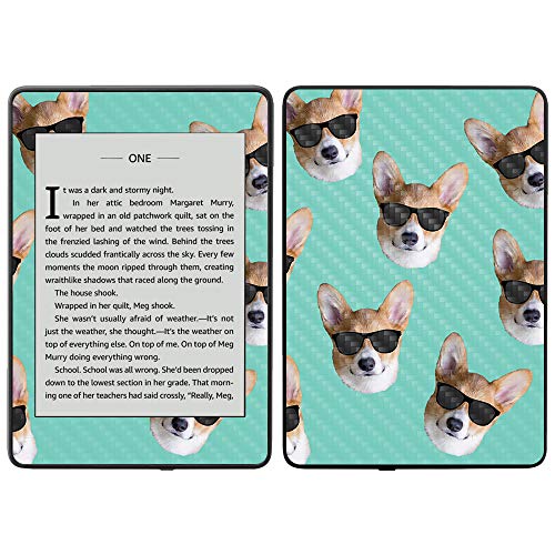 Cool Corgi