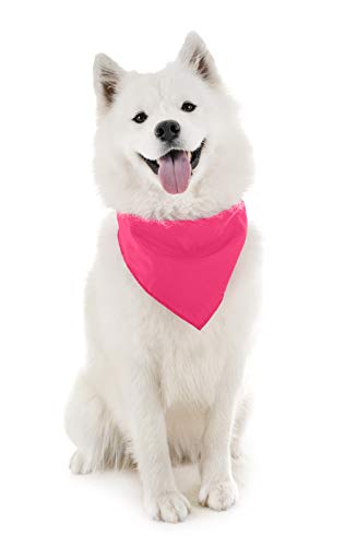 Hot Pink