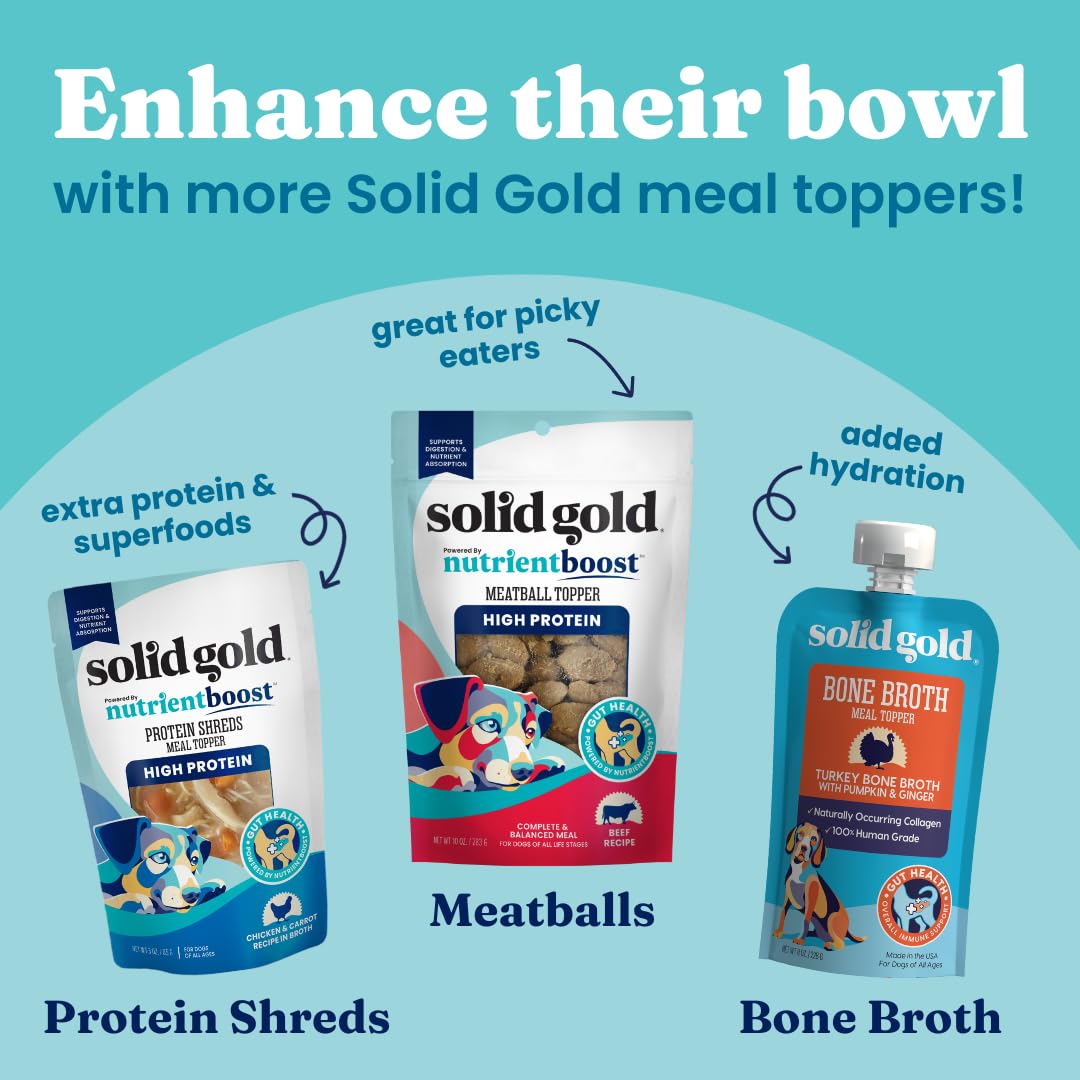 Premium Freeze-Dried Raw Dog Food with Real Beef, Pumpkin & Superfoods - Grain-Free, High-Protein Meal Topper or Treat - 1.5oz for Small & Medium Dogs - Perfect for Travel, Training & Digestive Health