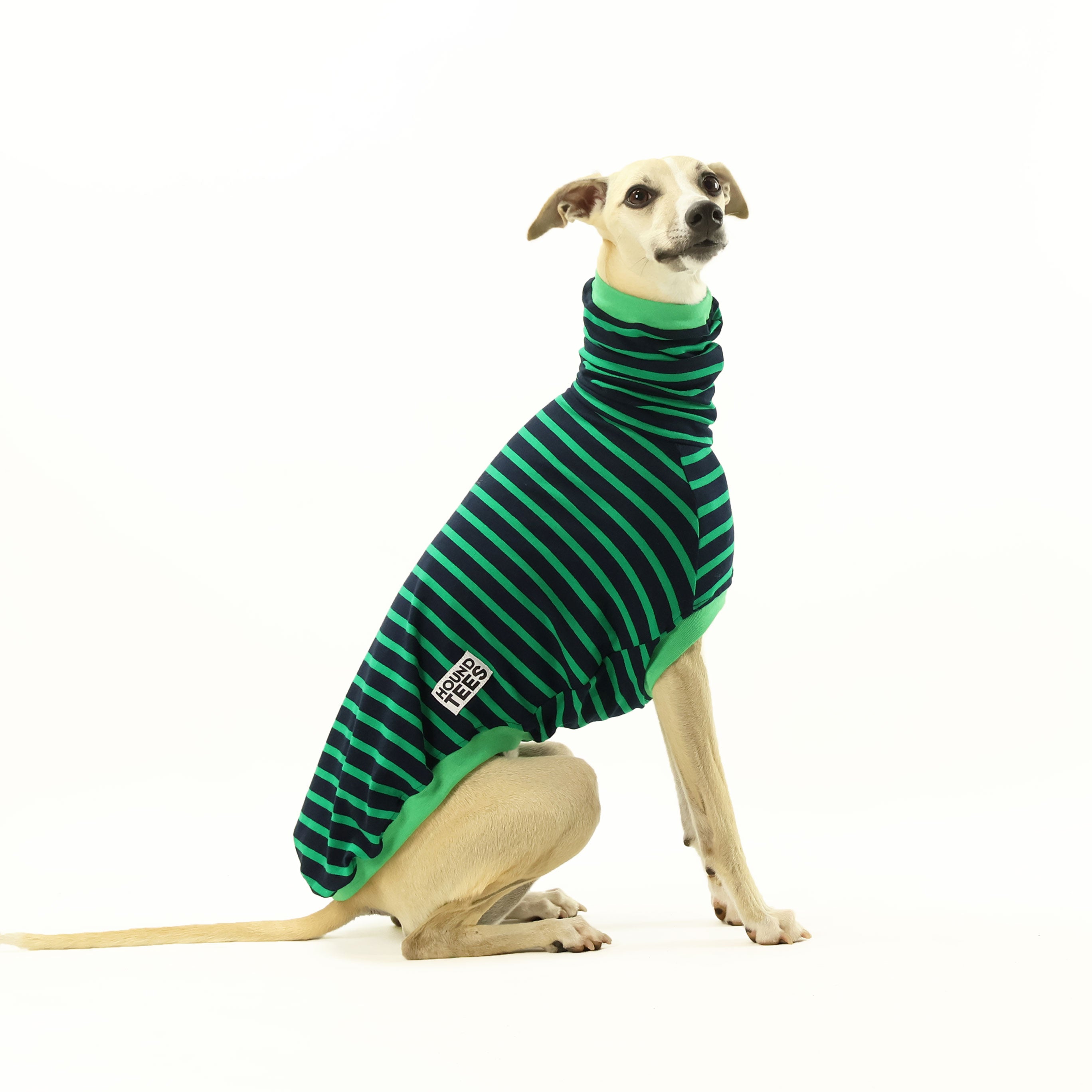 Kermit Whippet Sleeveless Hound T-Shirt for Dogs - Comfortable Summer Pet Apparel for Outdoor Adventures & Playtime