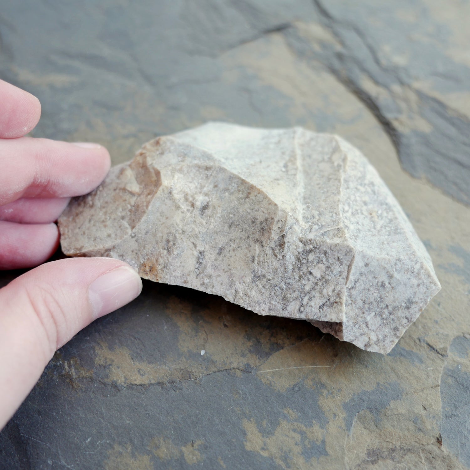 Flint Large Size - Premium Quality Flint for Outdoor Survival, Camping & Fire Starting | Ideal for Bushcraft, Emergency Kits & Wilderness Adventures
