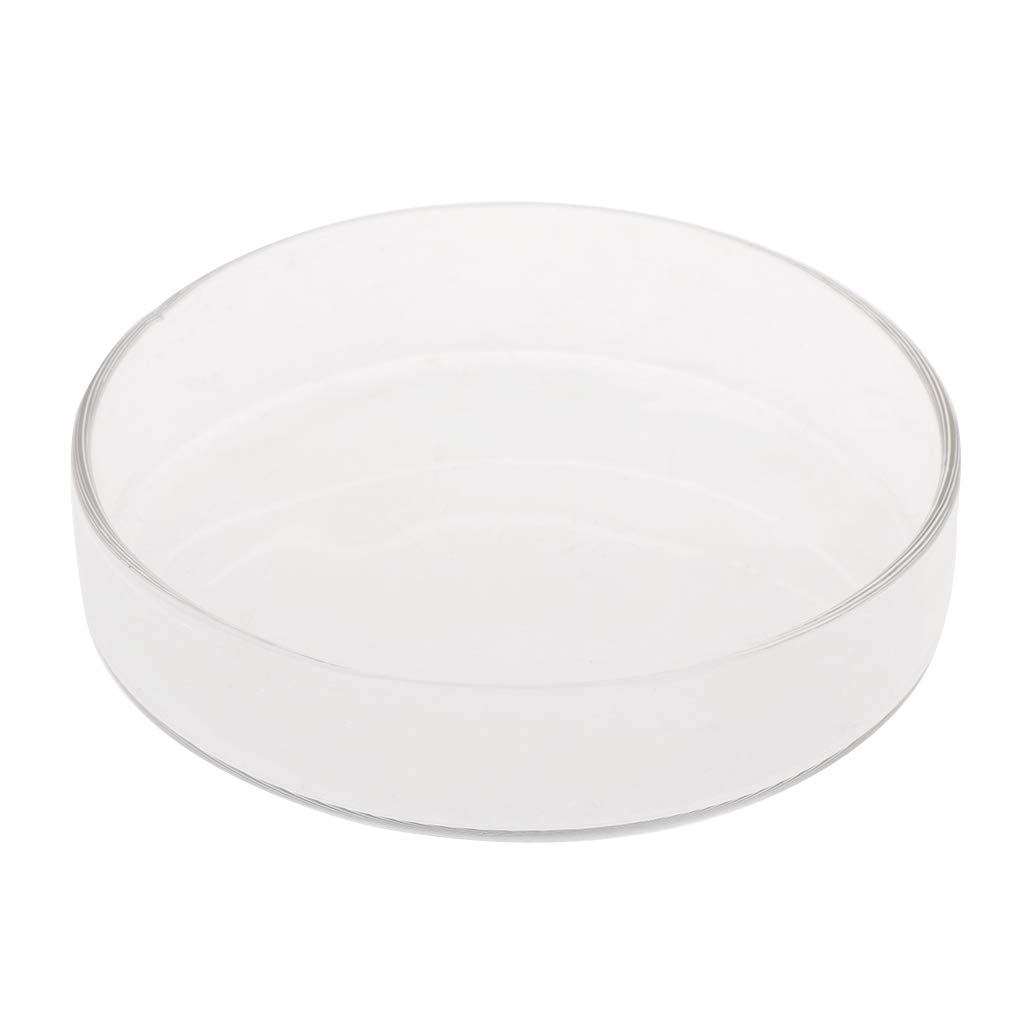 Premium Glass Shrimp Feeding Dish - 9cm/3.54in Aquarium Fish Tank Feeder Bowl for Shrimp Food | Perfect for Nano Tanks, Shrimp Colonies & Delicate Feeders