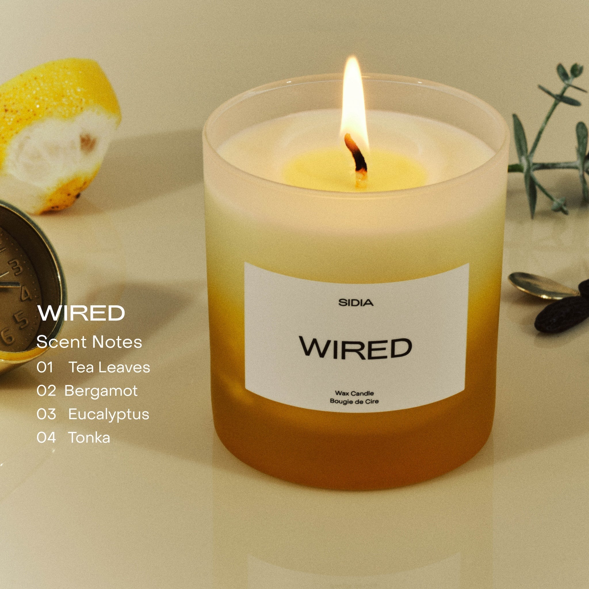 Sidia Premium Wired Candle - Long-Lasting Scented Candles for Home, Office & Romantic Dinners - Perfect for Relaxation, Aromatherapy & Holiday Decor