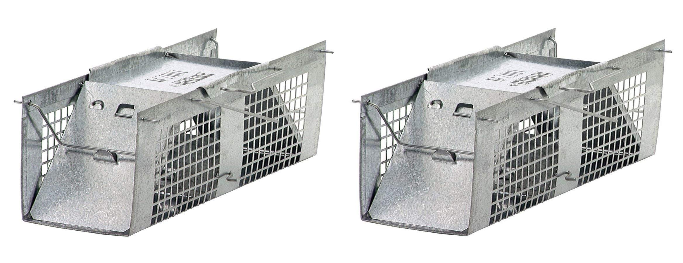 HAVAHART 1020 Humane Live Animal Two-Door Mouse Cage Trap - Safe Rodent Control for Home & Garden (Pack of 2) - Ideal for Indoor/Outdoor Pest Control in Houses, Sheds & Garages