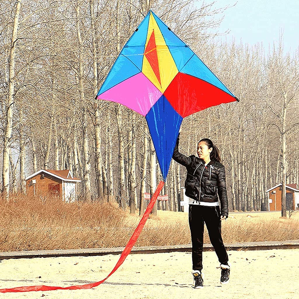 Easy-to-Fly Colorful Polaris Kites with Tails for Adults & Kids - Beginner Beach Kites with 800M String & Reel - Perfect for Outdoor Activities, Family Picnics, and Beach Trips