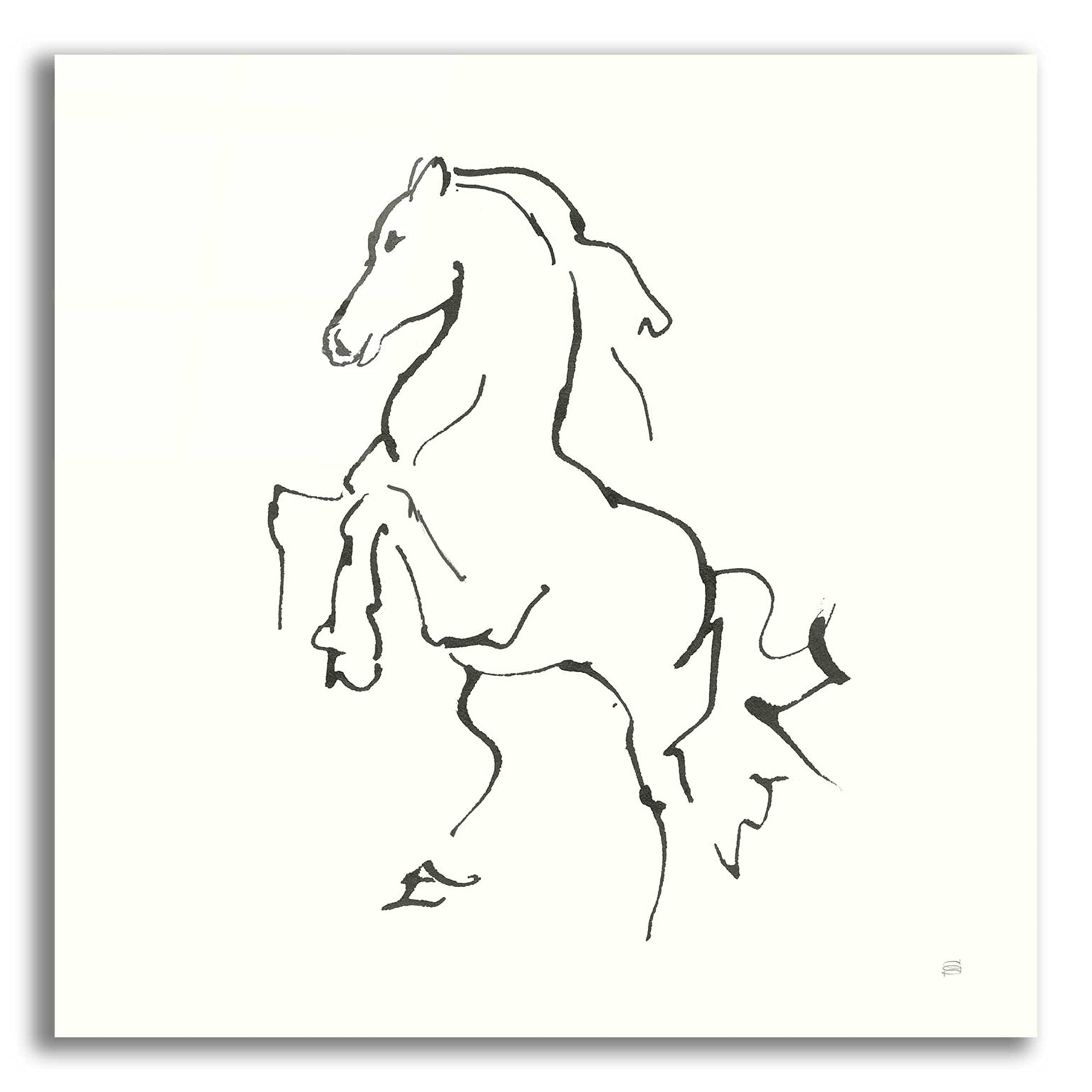 Chris Paschke 'Line Horse I' Acrylic Glass Wall Art - 36x36 Inch Modern Abstract Painting for Living Room, Office & Bedroom Decor