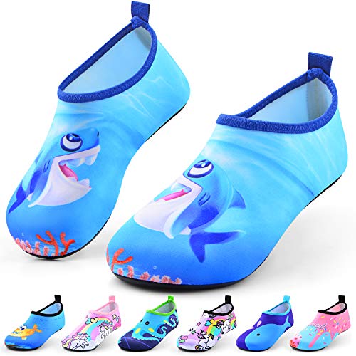Blue Shark