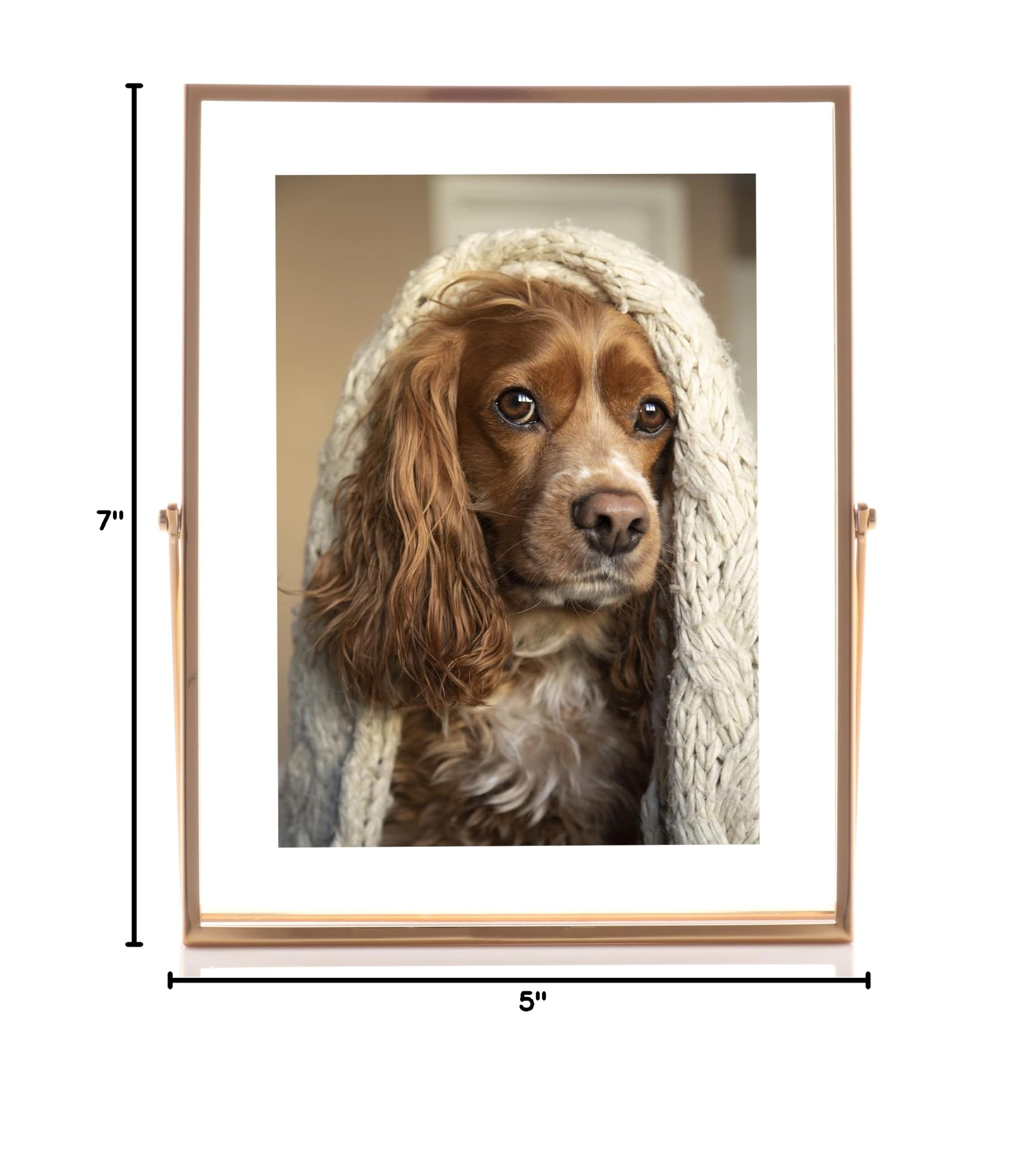 Lawrence Frames 5x7 Gold Metal Easel Float Picture Frame - Display Photos, Artwork & Memorabilia on Desks, Shelves & Tables - Perfect for Home & Office Decor