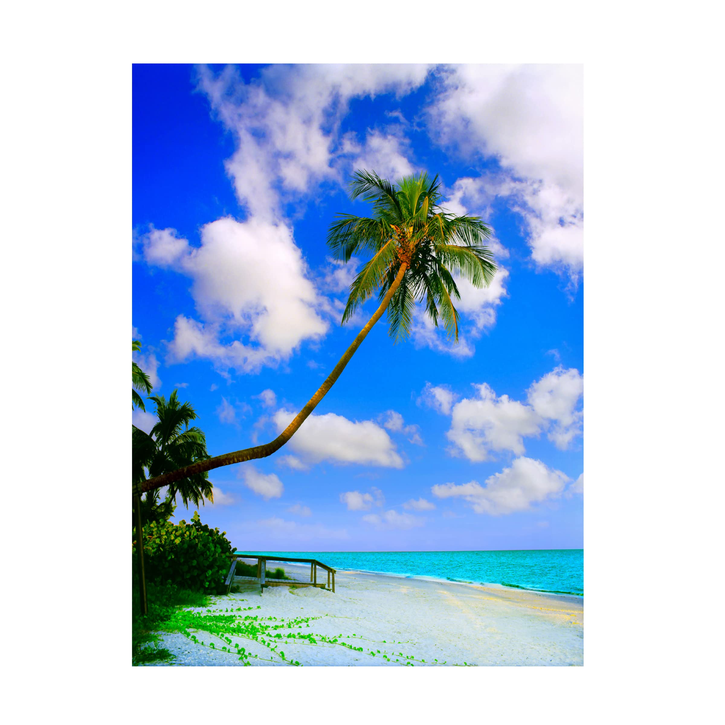 Jack Reed 'Sanibel Island' Canvas Wall Art Print - Coastal Beach Landscape Painting for Living Room, Bedroom & Office Decor | Trademark Fine Art Collection
