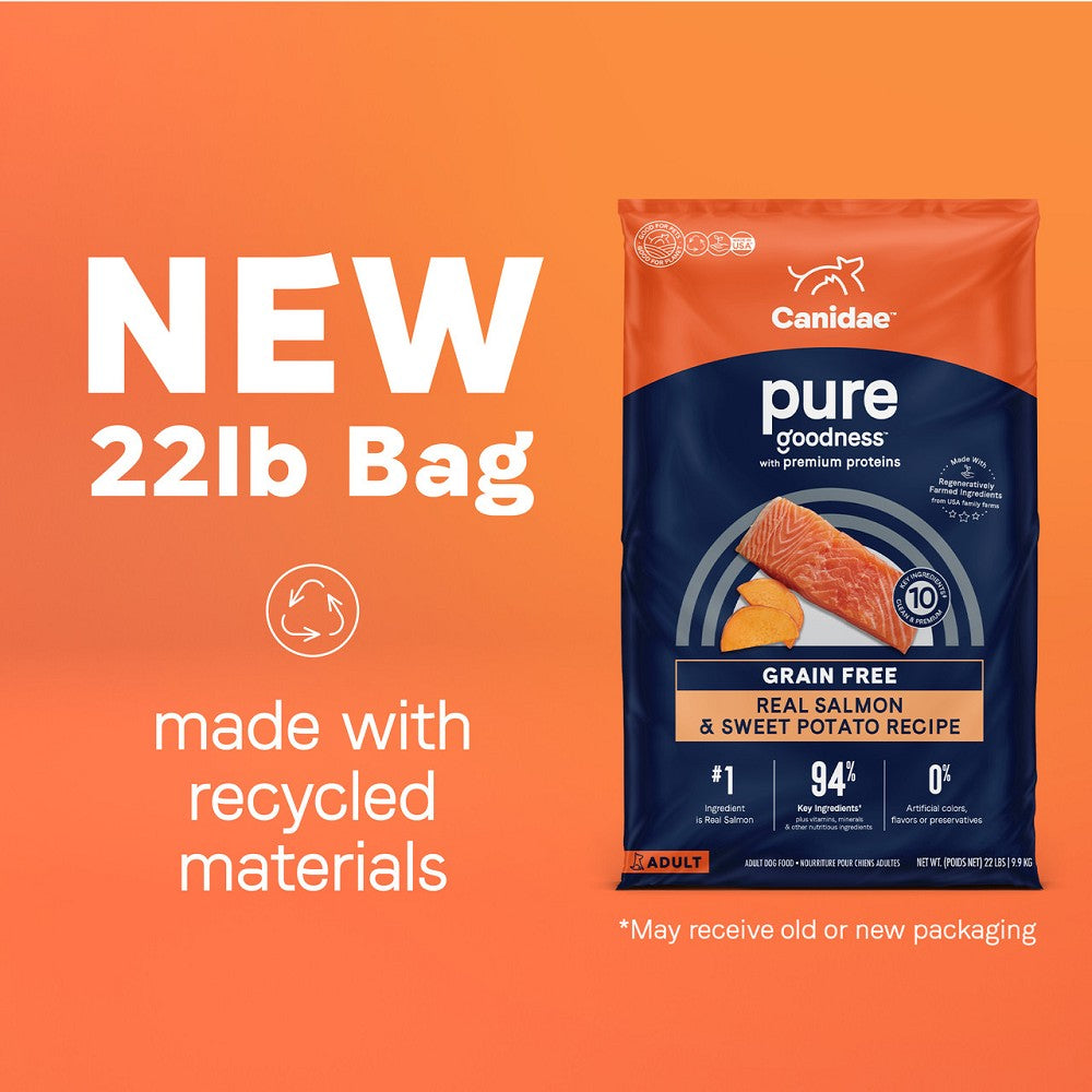 PURE Grain Free Dry Dog Food - Salmon & Sweet Potato Recipe - High Protein, Natural Ingredients for Adult Dogs - Perfect for Sensitive Stomachs & Allergies - Ideal for Daily Meals & Training Treats