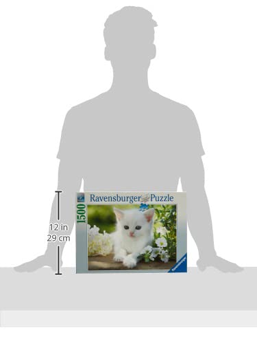 Ravensburger 1500 Piece Adult Jigsaw Puzzle - White Kitten (16243) - Perfect for Family Game Night & Relaxation