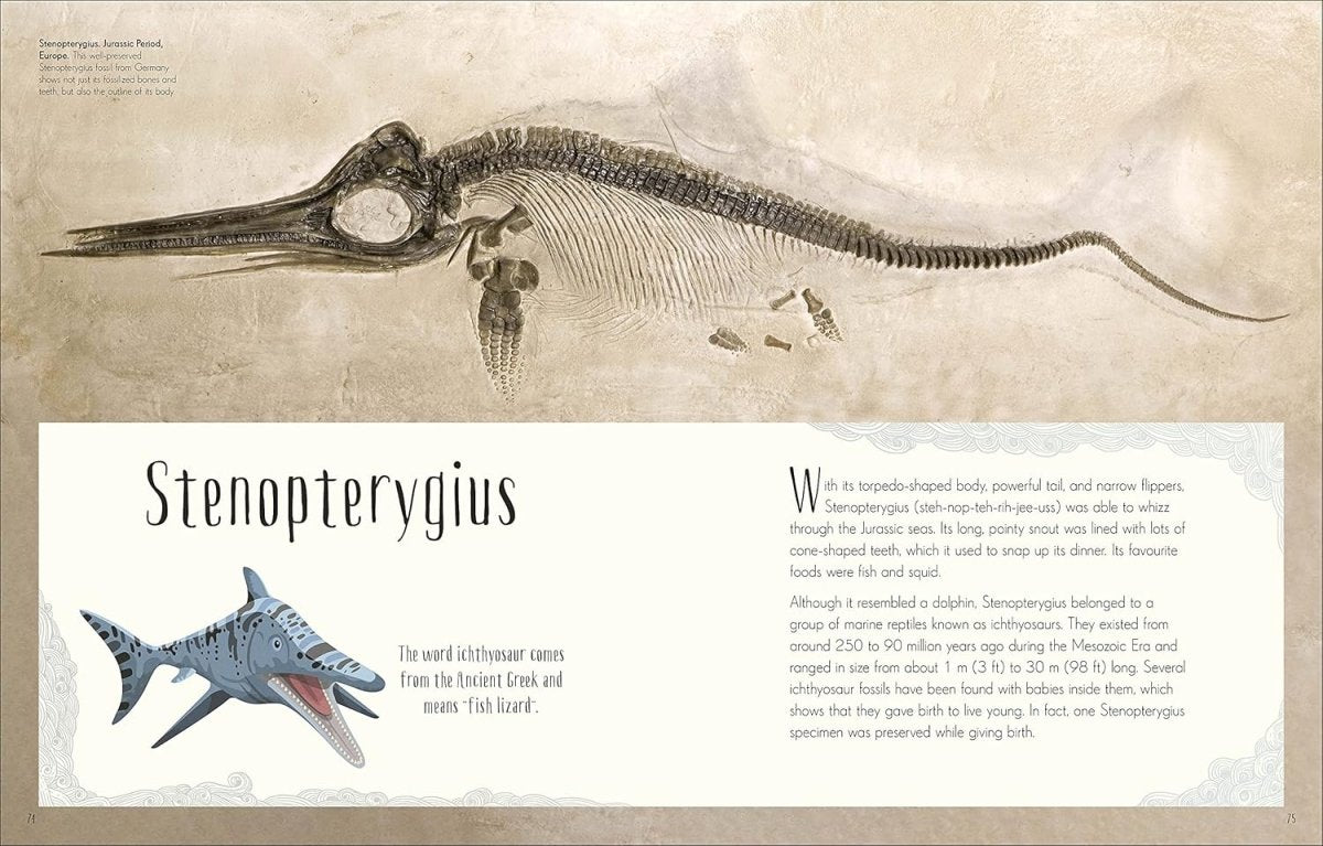 Professor Anusuya: Dinosaurs and Other Prehistoric Life - Illustrated by Chinsamy Turan | Educational Book for Kids, Science Learning & Gift for Dinosaur Lovers | Perfect for Classroom, Homeschooling & Bedtime Reading