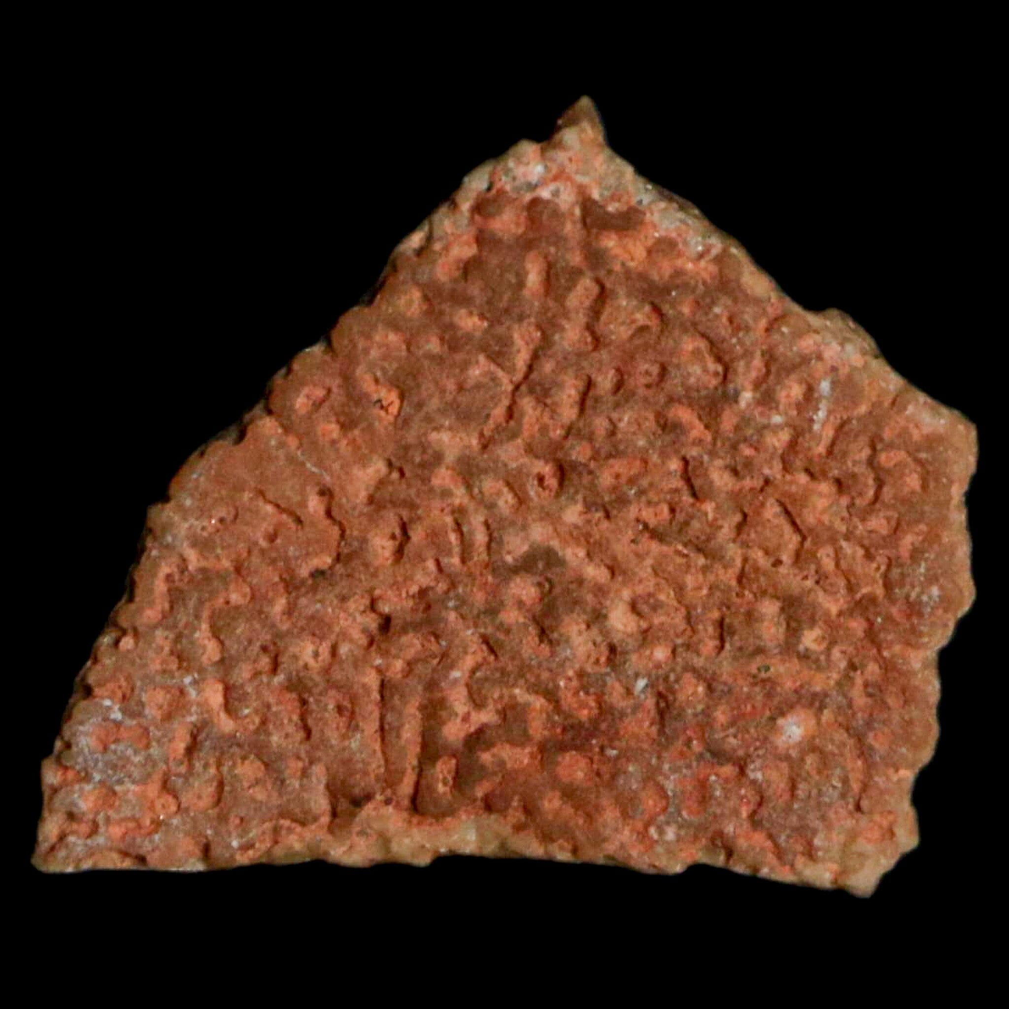 Authentic 0.5 Megaloolithus Titanosaur Dinosaur Fossil Egg Shell from Bouches-du-Rhône, France - Rare Collector's Item for Museum Display & Paleontology Enthusiasts - Perfect for Educational Exhibits, Home Decor, and Science Classrooms