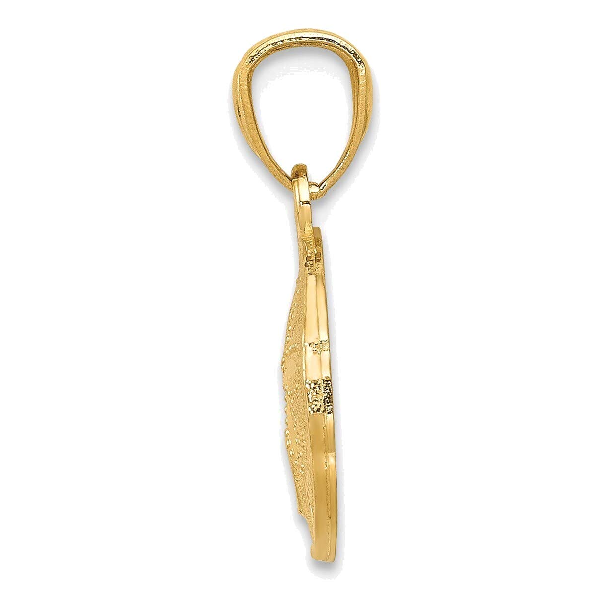 Bonyak 14K Gold Sand Dollar Pendant - Polished & Textured Finish | Elegant Beach Jewelry for Women, Perfect for Summer Outfits & Coastal Vacations