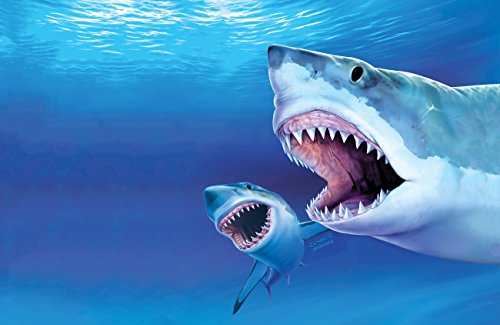 Great Whites