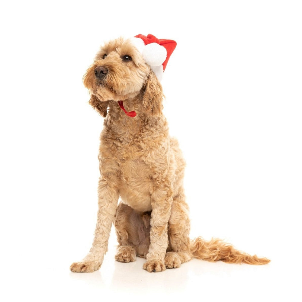 Festive Christmas Santa Hat Dog Toy - Cute Holiday Pet Costume for Small & Large Dogs - Perfect for Christmas Photos, Parties & Festive Fun