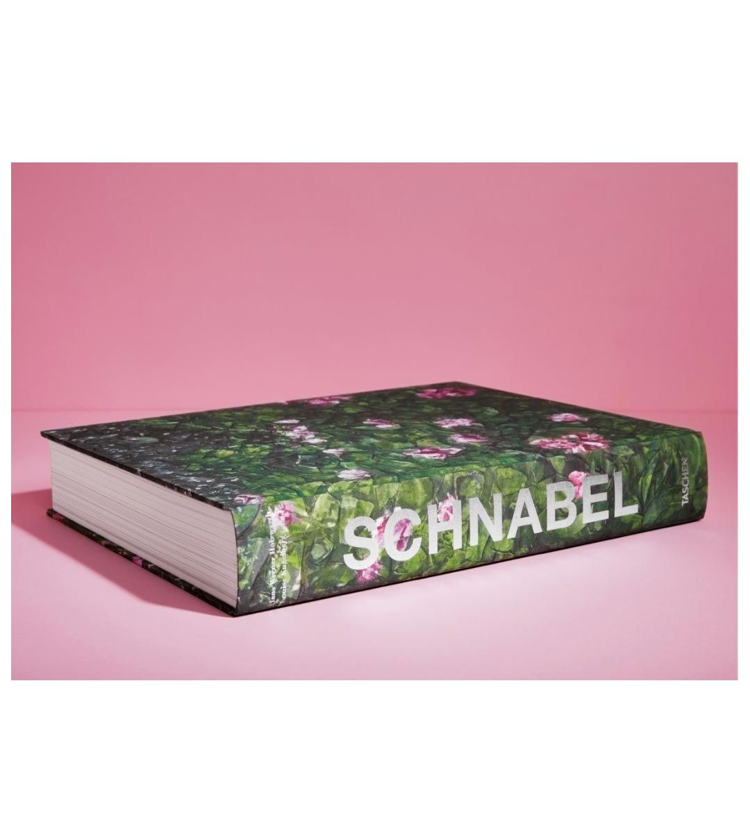 Julian Schnabel Art Prints - High-Quality Wall Decor for Home & Office | Modern Abstract Paintings for Living Room, Bedroom & Gallery Display