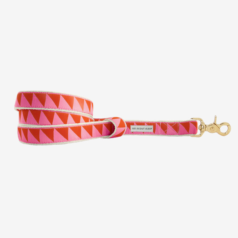 Premium Reflective Dog Leash - Strong & Durable Ruby Hot Pink Pet Leash for Medium to Large Dogs | Perfect for Night Walks, Jogging & Outdoor Adventures