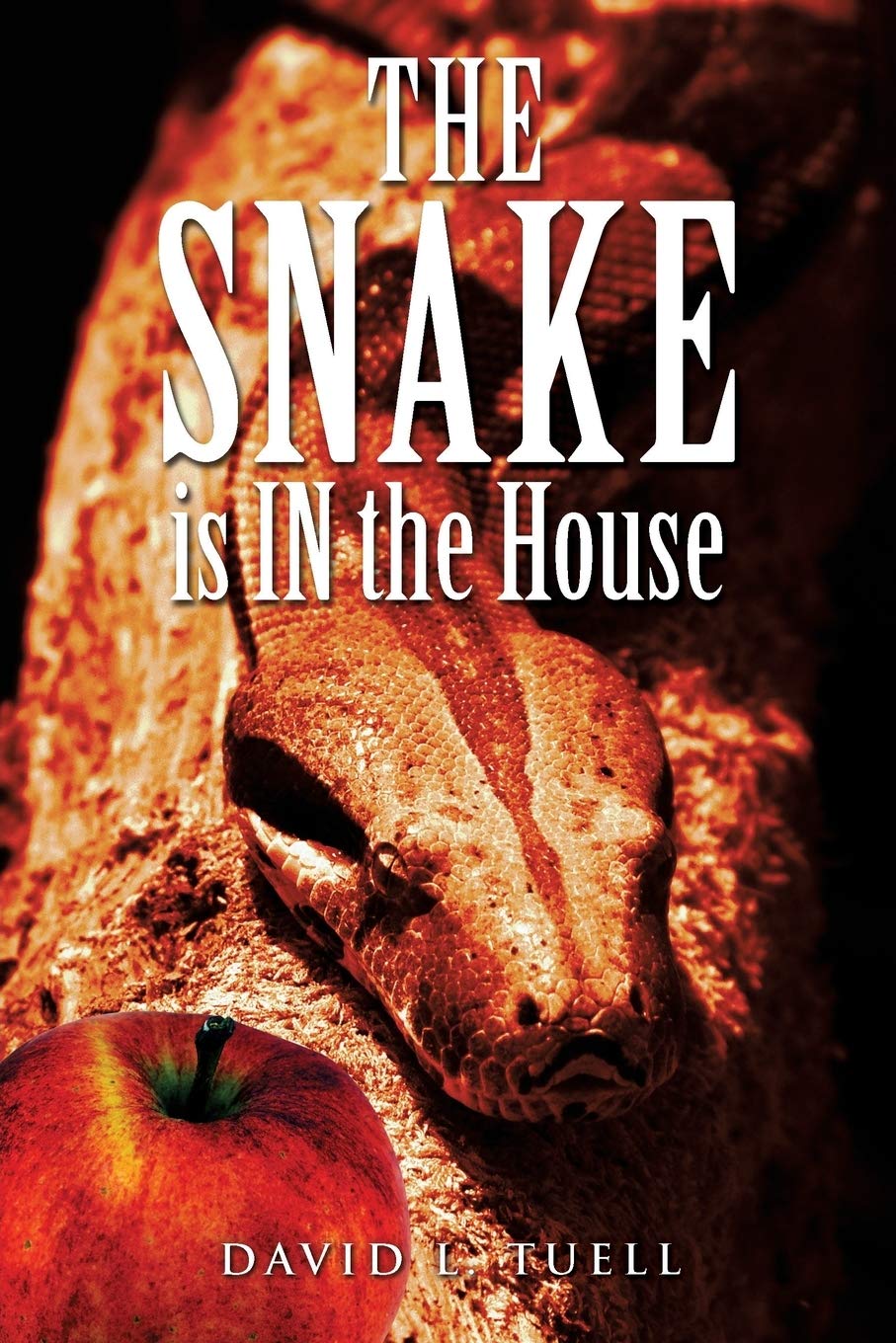 Funny Snake in the House Novelty Gift - Perfect for Pranksters, Animal Lovers & Home Decor