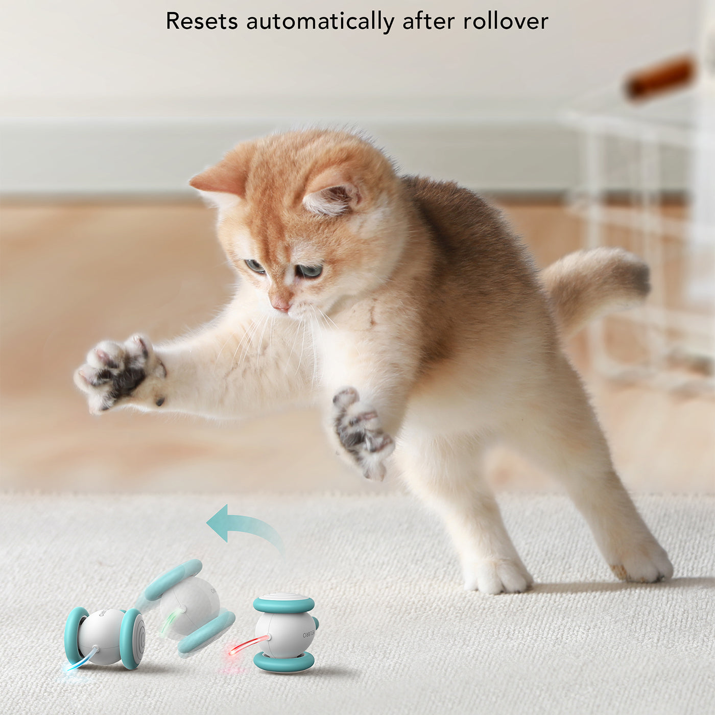 Petlibro Pixie Mouse Interactive Cat Toy - Automatic Motion & Sound for Indoor Play, Exercise & Hunting Instincts - Perfect for Kittens & Adult Cats