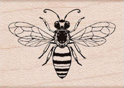 Friendly Bee