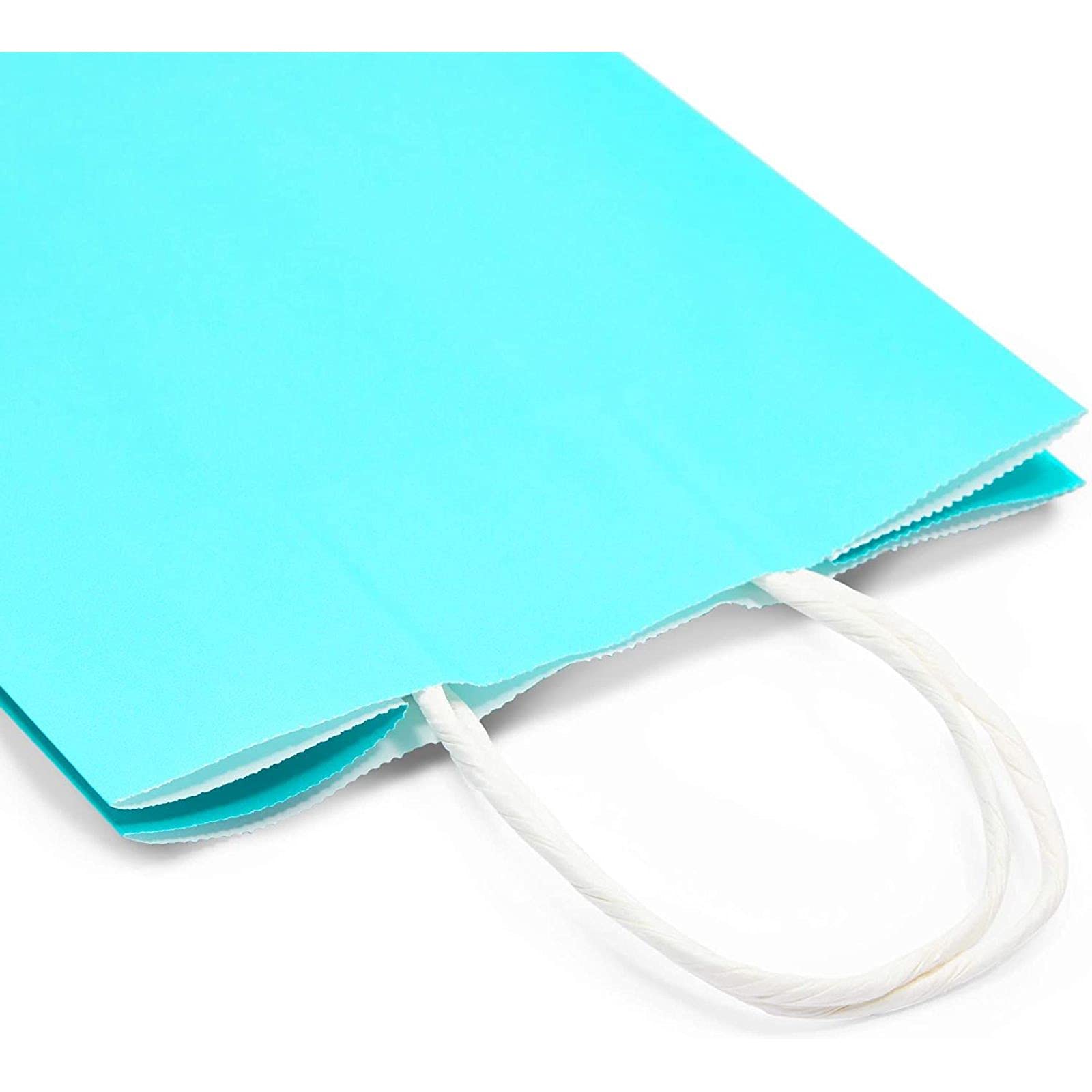 36 Pack Medium Teal Gift Bags with Handles - Premium Party Favors & Merchandise Bags for Birthdays, Weddings, Baby Showers & Corporate Events | Sparkle & Bash Collection