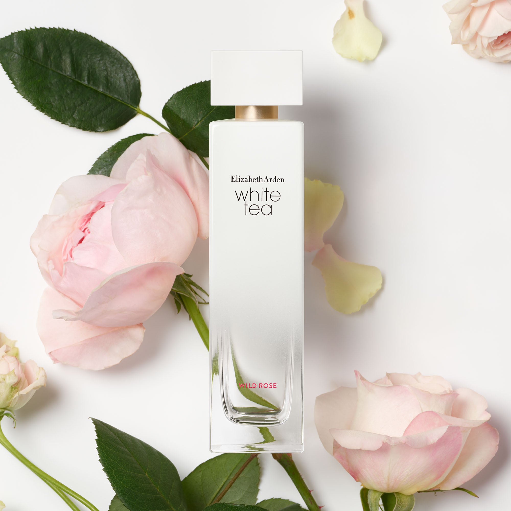 White Tea Wild Rose Eau De Toilette Spray for Women - Fresh Floral Fragrance Perfume | Perfect for Daily Wear, Date Night & Special Occasions
