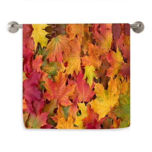 Fall Maple Leaves