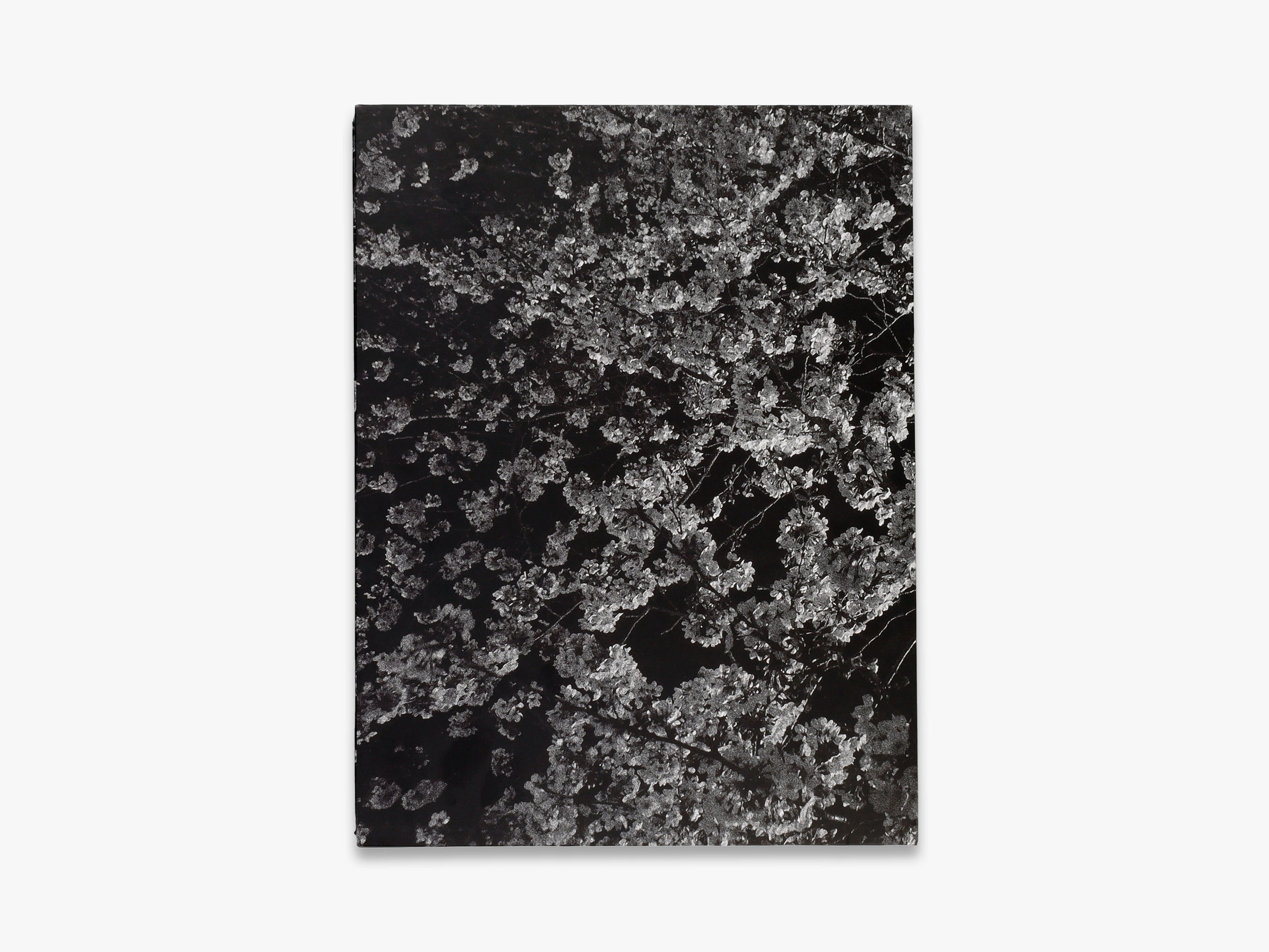 Daido Moriyama Record 2 - Japanese Street Photography Book - Urban Life & Culture Scenes - Perfect for Photography Enthusiasts & Art Collectors